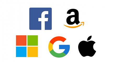 Apple, Alphabet, Microsoft, Amazon, and Facebook have become the most valuable public companies in the world.